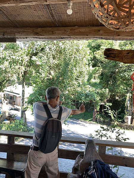 阿里山民宿--茶山部落--茶山95號客棧 阿里山民宿--茶山部落--茶山95號客棧