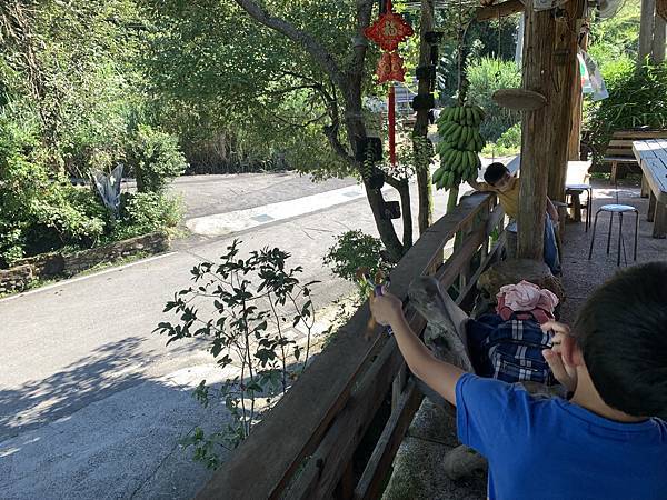 阿里山民宿--茶山部落--茶山95號客棧 阿里山民宿--茶山部落--茶山95號客棧