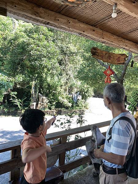 阿里山民宿--茶山部落--茶山95號客棧 阿里山民宿--茶山部落--茶山95號客棧