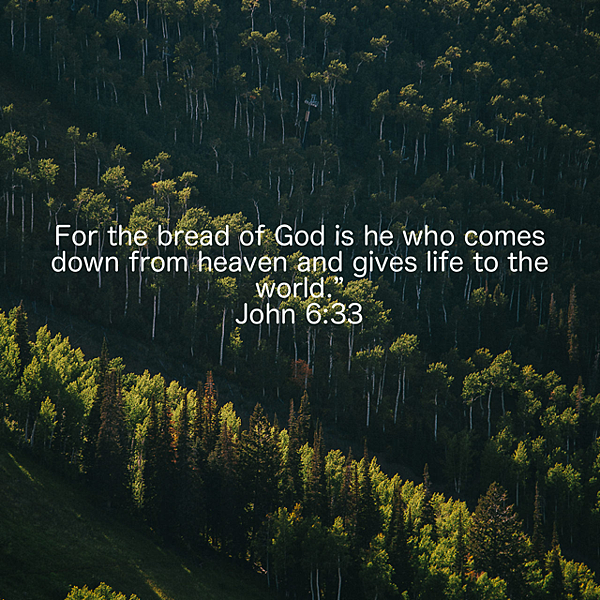 PNG影像-56493D2FDD9F-1