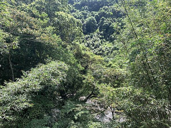 三峽景點開箱--2023中秋連假在大板根森林遊樂區烤肉 三峽景點開箱--2023中秋連假在大板根森林遊樂區烤肉