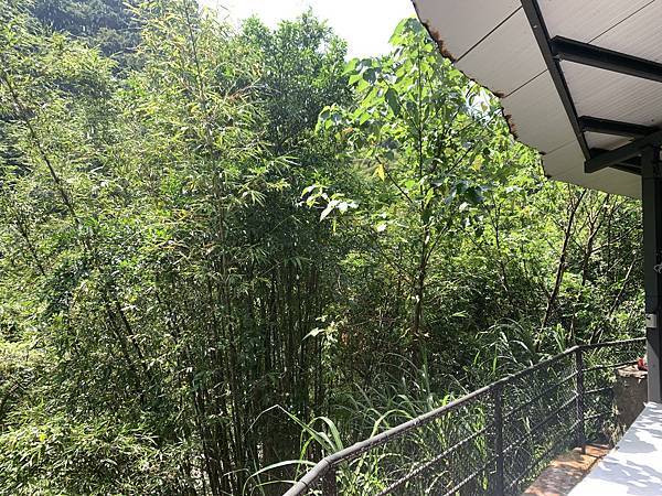 三峽景點開箱--2023中秋連假在大板根森林遊樂區烤肉 三峽景點開箱--2023中秋連假在大板根森林遊樂區烤肉