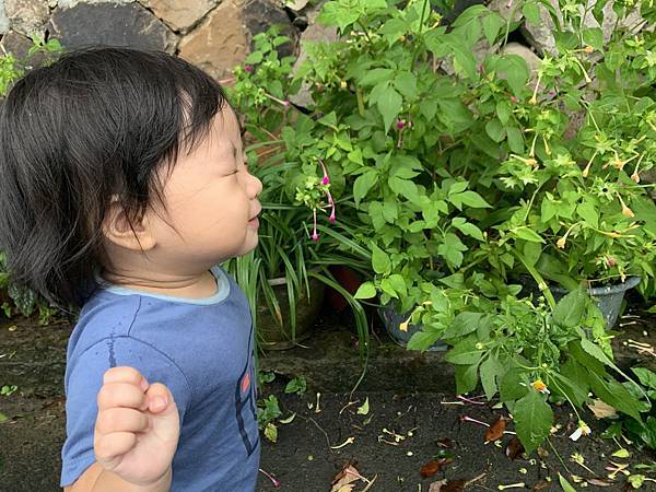 貢寮基隆二日遊--田邊聊聊及陽明海洋文化藝術館