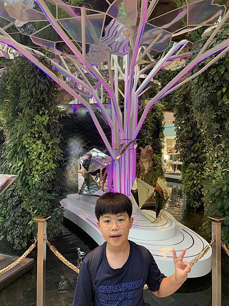 『泰國曼谷』曼谷自由行,暹羅站逛大街,紅大哥水門雞飯,米其林