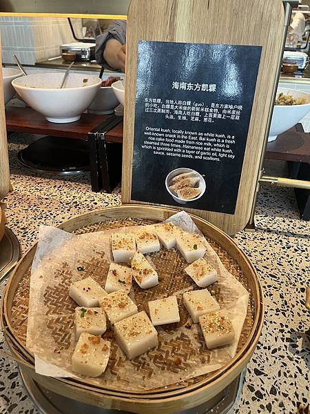 『三亞遊記』喬碩諾媽慶生三亞行EP1『三亞泰康之家度假酒店