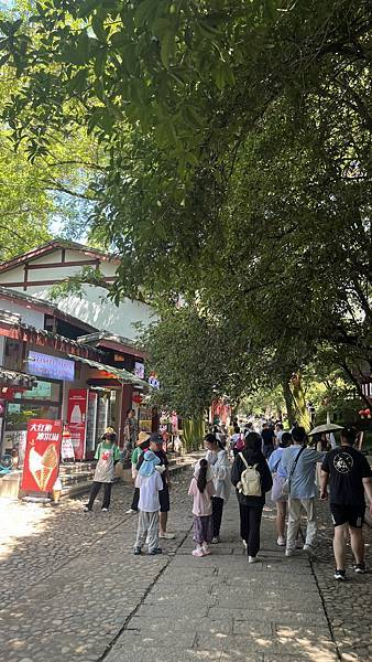 『中國福建』喬碩諾爸帶團初體驗!!#EP2登武夷山&印象大紅