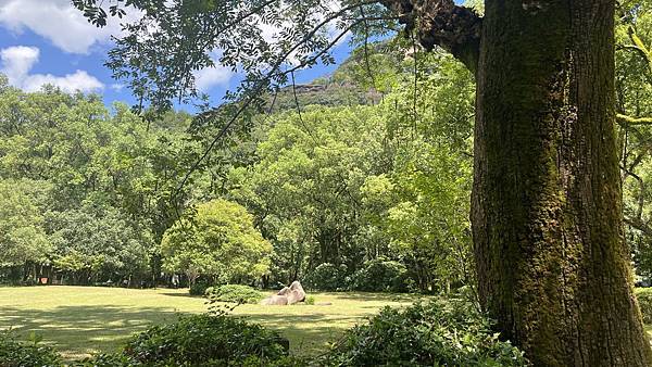 『中國福建』喬碩諾爸帶團初體驗!!#EP2登武夷山&印象大紅