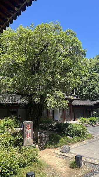 『中國福建』喬碩諾爸帶團初體驗!!#EP2登武夷山&印象大紅