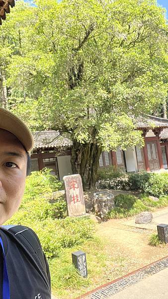 『中國福建』喬碩諾爸帶團初體驗!!#EP2登武夷山&印象大紅