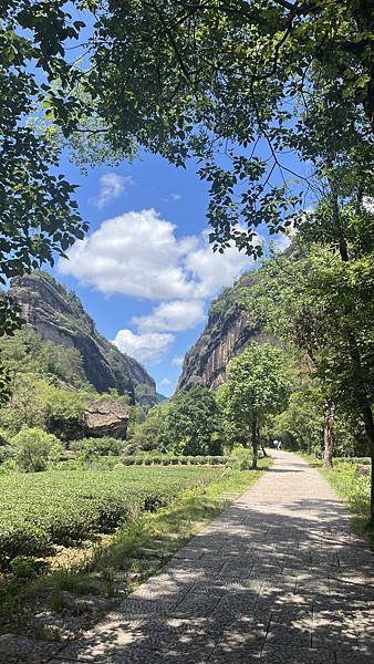 『中國福建』喬碩諾爸帶團初體驗!!#EP2登武夷山&印象大紅