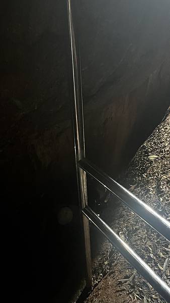 『中國福建』喬碩諾爸帶團初體驗!!#EP2登武夷山&印象大紅