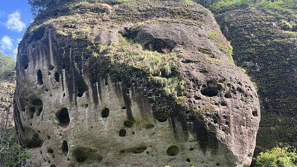 『中國福建』喬碩諾爸帶團初體驗!!#EP2登武夷山&印象大紅