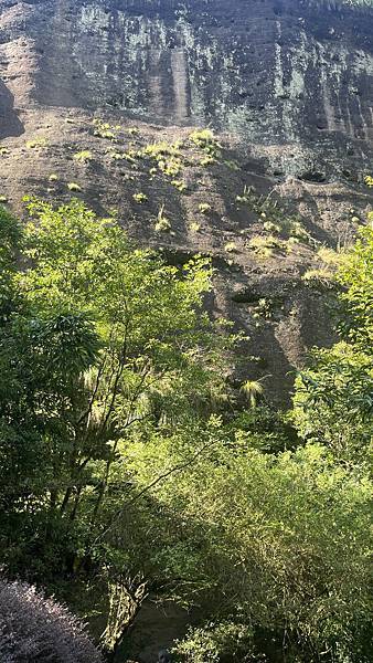 『中國福建』喬碩諾爸帶團初體驗!!#EP2登武夷山&印象大紅