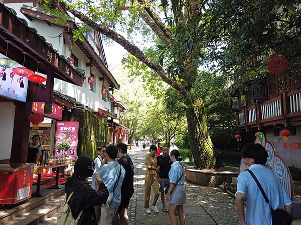 『中國福建』喬碩諾爸帶團初體驗!!#EP2登武夷山&印象大紅