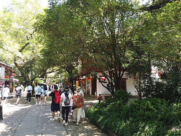 『中國福建』喬碩諾爸帶團初體驗!!#EP2登武夷山&印象大紅