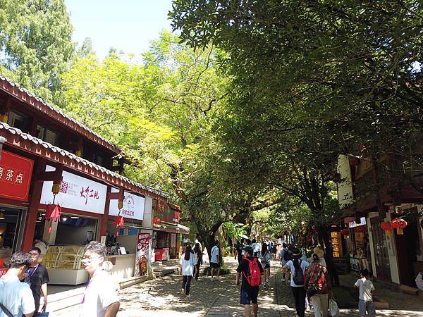 『中國福建』喬碩諾爸帶團初體驗!!#EP2登武夷山&印象大紅