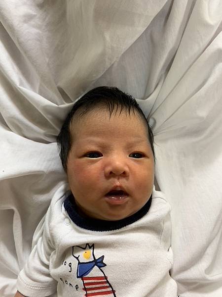 一點心裡話,一個美寶爸認為現在的環境還是不適合生美寶,去關島 一點心裡話,一個美寶爸認為現在的環境還是不適合生美寶,去關島