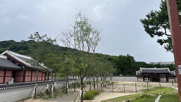 『韓國水原』慶祝碩寶十歲生日韓國吃燒肉啦!!