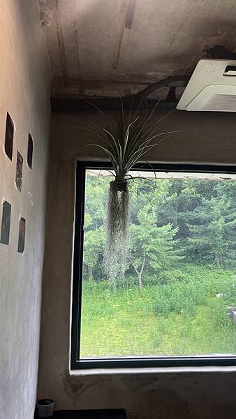 『韓國水原』慶祝碩寶十歲生日韓國吃燒肉啦!!