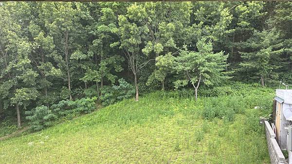 『韓國水原』慶祝碩寶十歲生日韓國吃燒肉啦!!