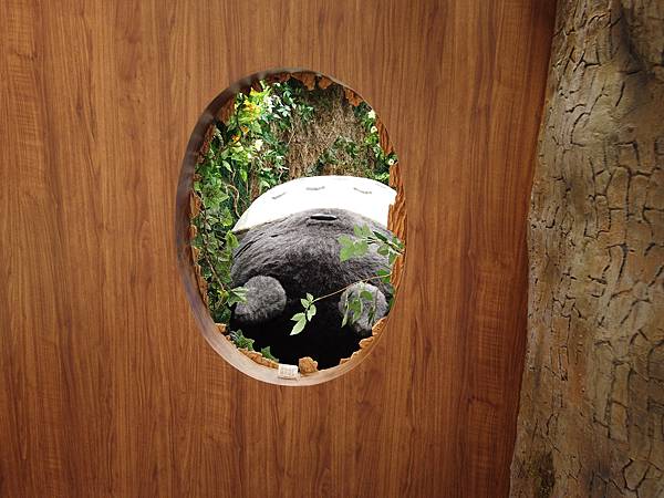 『韓國水原』慶祝碩寶十歲生日韓國吃燒肉啦!!