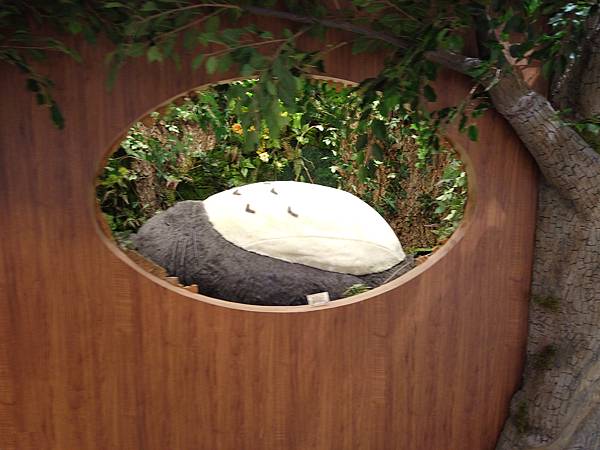 『韓國水原』慶祝碩寶十歲生日韓國吃燒肉啦!!