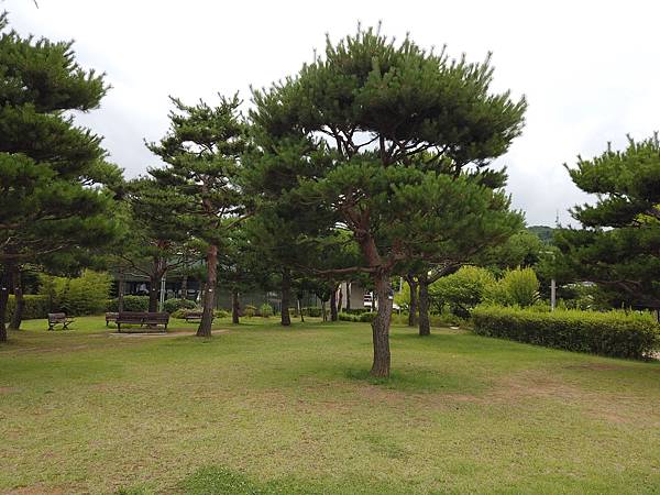 『韓國水原』慶祝碩寶十歲生日韓國吃燒肉啦!!