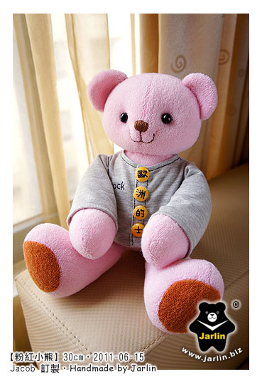 20110615_粉紅小熊02_teddy bear