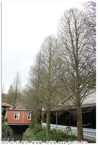 九芎湖15-金谷農場