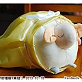 20130318_02小綿羊禮服與皇冠