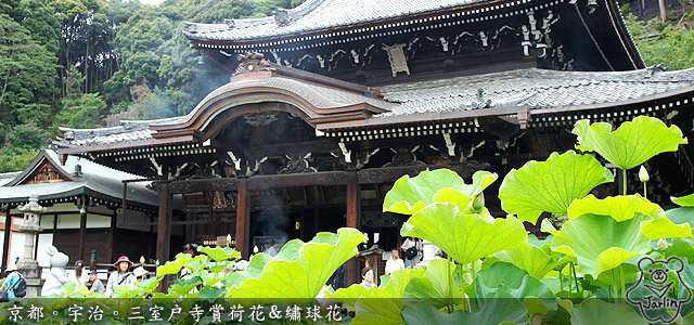 三室戶寺_00.jpg 三室戶寺_00.jpg