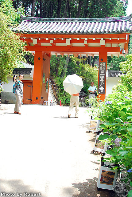 三室戶寺_06.jpg