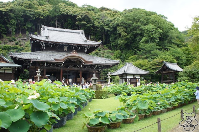 三室戶寺_13.JPG