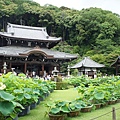 三室戶寺_13.JPG