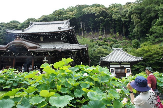 三室戶寺_14.JPG