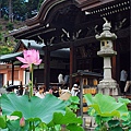 三室戶寺_15.jpg