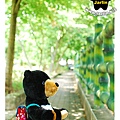 旅行台灣黑熊08