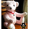 20131008_粉紅出生熊02_teddy bear