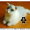 felt cat_羊毛氈貓咪_Jarlin3