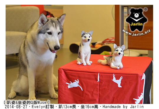 羊毛氈哈士奇_husky felt_Jarlin10