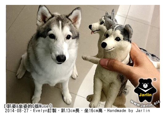 羊毛氈哈士奇_husky felt_Jarlin11