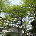 20140417 (02)