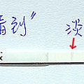 20140223_淡淡第二條線.jpg