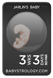 胚胎模擬圖.jpg