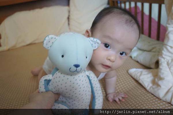 20150702_babyandbear (3).JPG