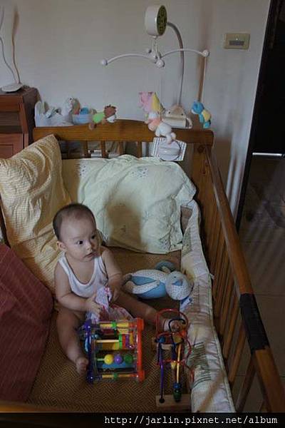 20150702_babyandbear (17).JPG