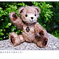 20090312_Peter熊