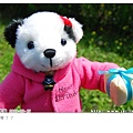 20090306_乳牛熊小妹