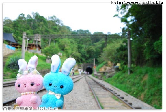 兔兔在鐵軌上的合影