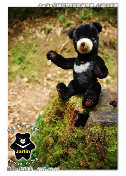 小黑熊回到山林中不亦樂乎！
